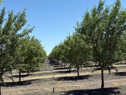 Recreational Property for sale in Fresno County, California