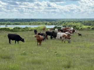 Farm and Ranch for sale in Stephens County, Oklahoma