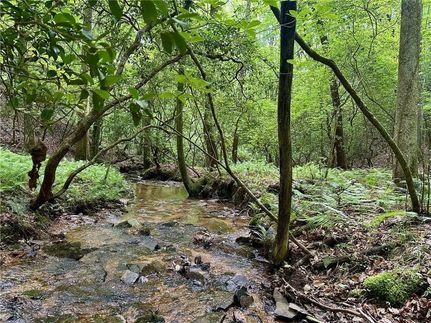 Land for sale in Lumpkin County, Georgia