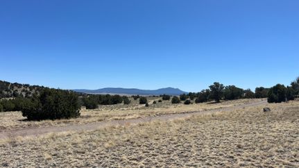 Undeveloped Land for sale in Catron County, New Mexico