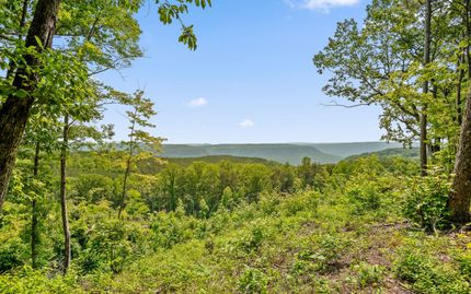 Timberland Property for sale in Marion County, Tennessee