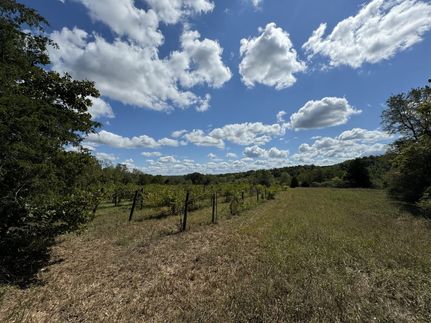 Timberland Property in Hickman County, Tennessee