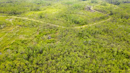 Land for sale in Taylor County, Florida