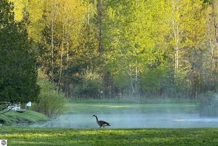 Land for sale in Leelanau County, Michigan