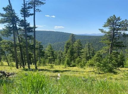 Timberland Property for sale in Granite County, Montana