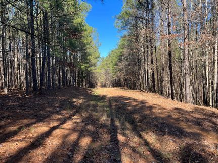 Farm and Ranch in Tuscaloosa County, Alabama