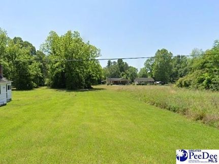 Undeveloped Land in Marion County, South Carolina
