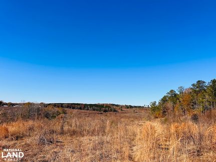 Farm and Ranch in Taylor County, Georgia