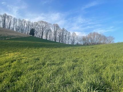 Undeveloped Land in Russell County, Virginia