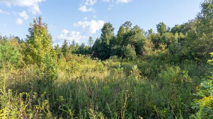 Recreational Property in Tallapoosa County, Alabama