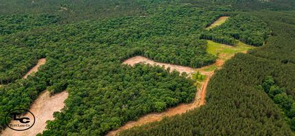 Timberland Property for sale in McNairy County, Tennessee