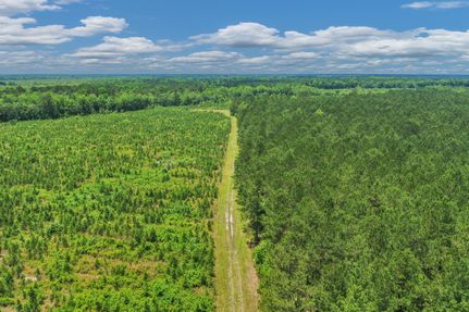 Land for sale in Clarendon County, South Carolina