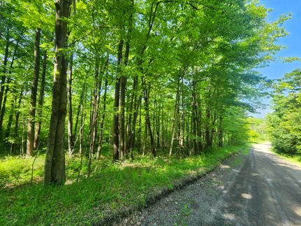 Farm and Ranch for sale in Chemung County, New York