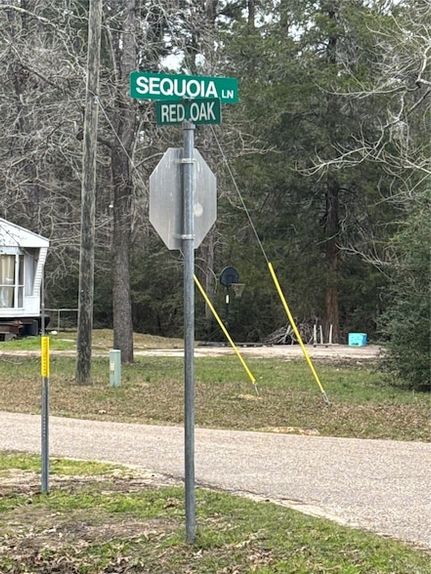 Undeveloped Land in Polk County, Texas