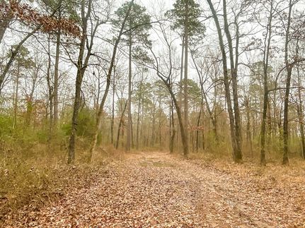 Farm and Ranch for sale in Clark County, Arkansas