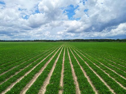 Farm and Ranch for sale in Gadsden County, Florida