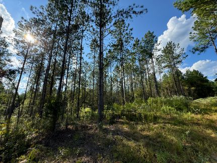 Timberland Property in Tallapoosa County, Alabama