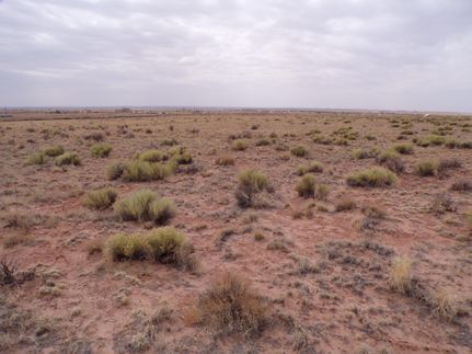 Recreational Property for sale in Navajo County, Arizona