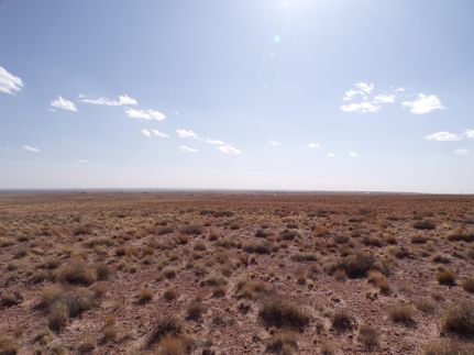 Undeveloped Land for sale in Navajo County, Arizona