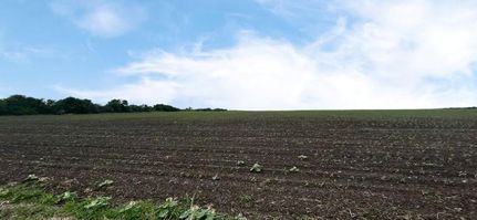 Undeveloped Land in Nueces County, Texas