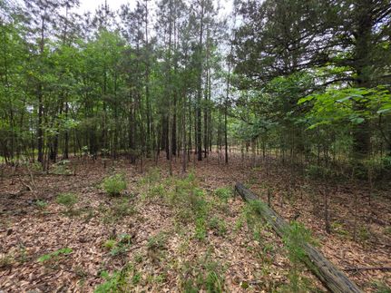 Homesite for sale in Polk County, Arkansas
