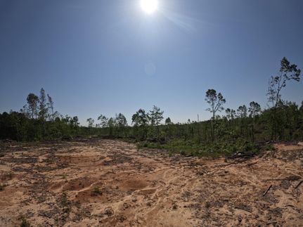 Undeveloped Land for sale in Prentiss County, Mississippi