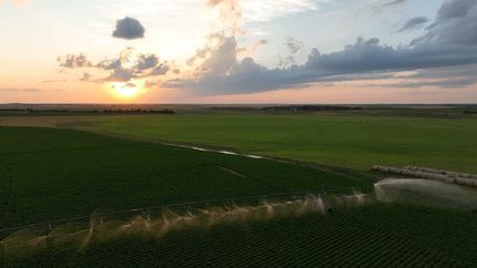 Undeveloped Land for sale in Box Butte County, Nebraska
