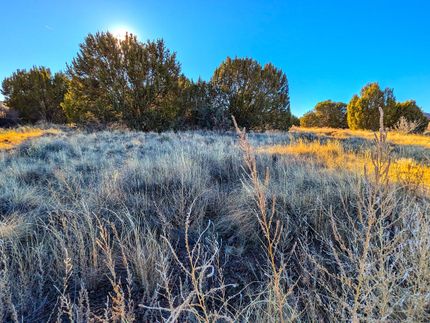 Undeveloped Land in Apache County, Arizona