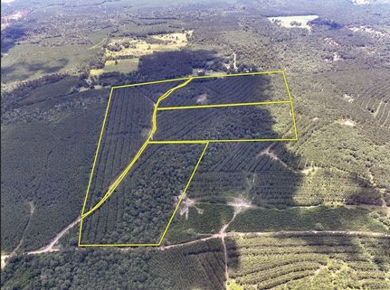 Timberland Property for sale in Tyler County, Texas