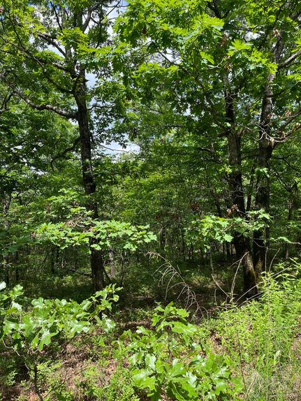 Farm and Ranch for sale in Pushmataha County, Oklahoma
