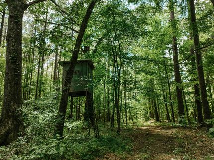 Timberland Property for sale in Drew County, Arkansas