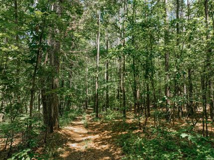 Timberland Property for sale in Drew County, Arkansas