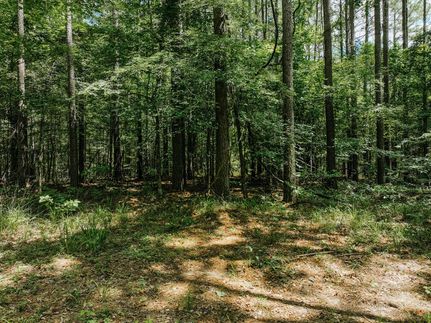 Land for sale in Drew County, Arkansas