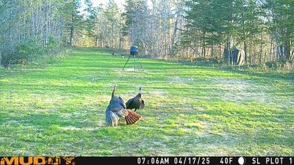 Hunting Property for sale in Sequatchie County, Tennessee