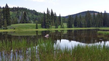 Undeveloped Land in Carbon County, Wyoming