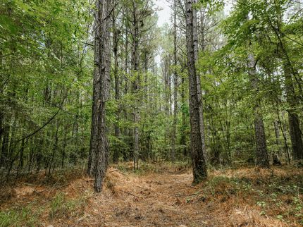 Recreational Property for sale in Drew County, Arkansas