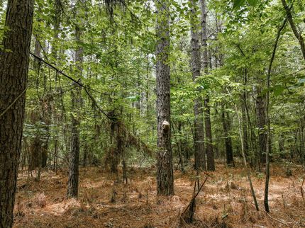 Land for sale in Drew County, Arkansas