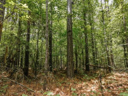 Timberland Property for sale in Drew County, Arkansas