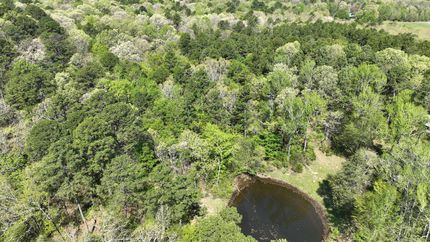 Land for sale in Polk County, Arkansas