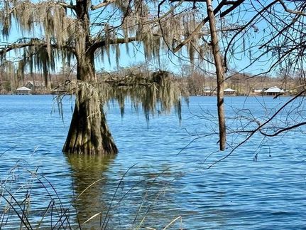 Commercial Property for sale in Tensas Parish, Louisiana