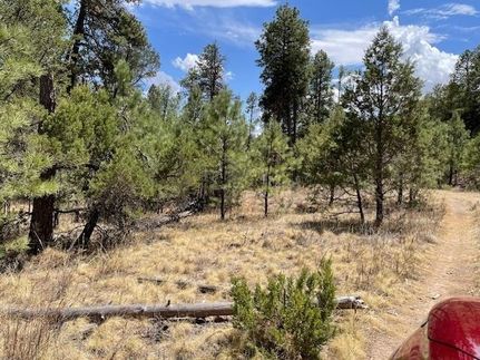 Undeveloped Land in Otero County, New Mexico