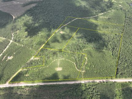 Farm and Ranch for sale in Polk County, Texas