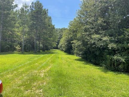 Homesite for sale in Walthall County, Mississippi