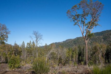 Undeveloped Land in Josephine County, Oregon