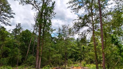 Recreational Property for sale in Angelina County, Texas