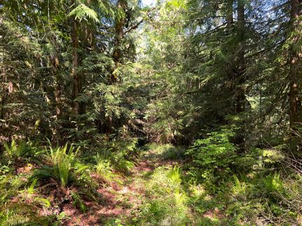 Timberland Property in Lane County, Oregon