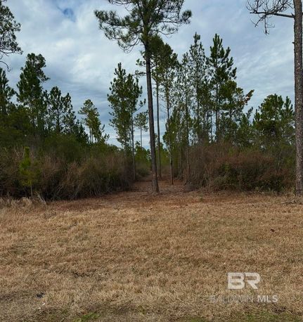 Timberland Property for sale in Baldwin County, Alabama