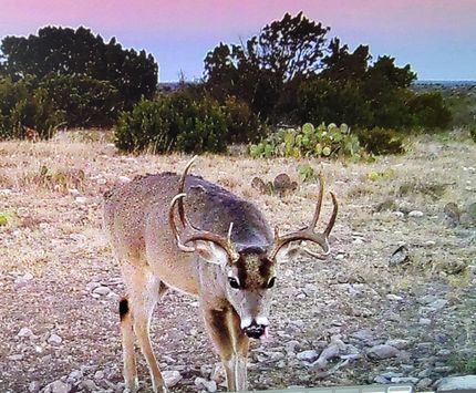 Recreational Property for sale in Val Verde County, Texas
