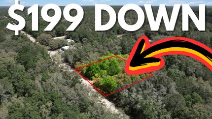 Undeveloped Land in Putnam County, Florida