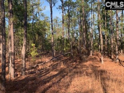 Homesite in Richland County, South Carolina